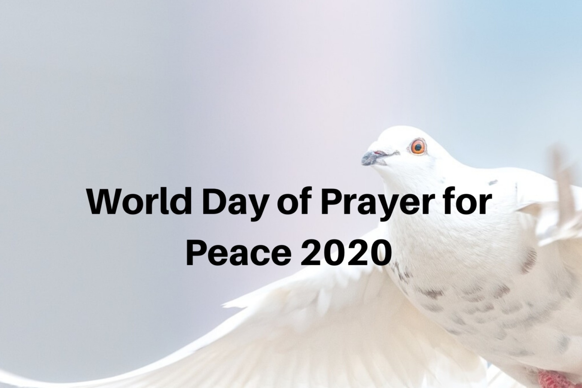 World Day of Prayer for Peace 2020