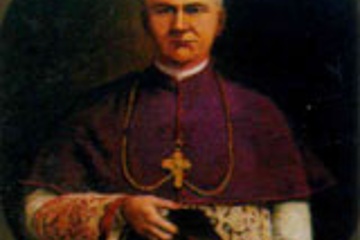 Bishop Edward Thomas O'Dwyer - Limerick Diocese