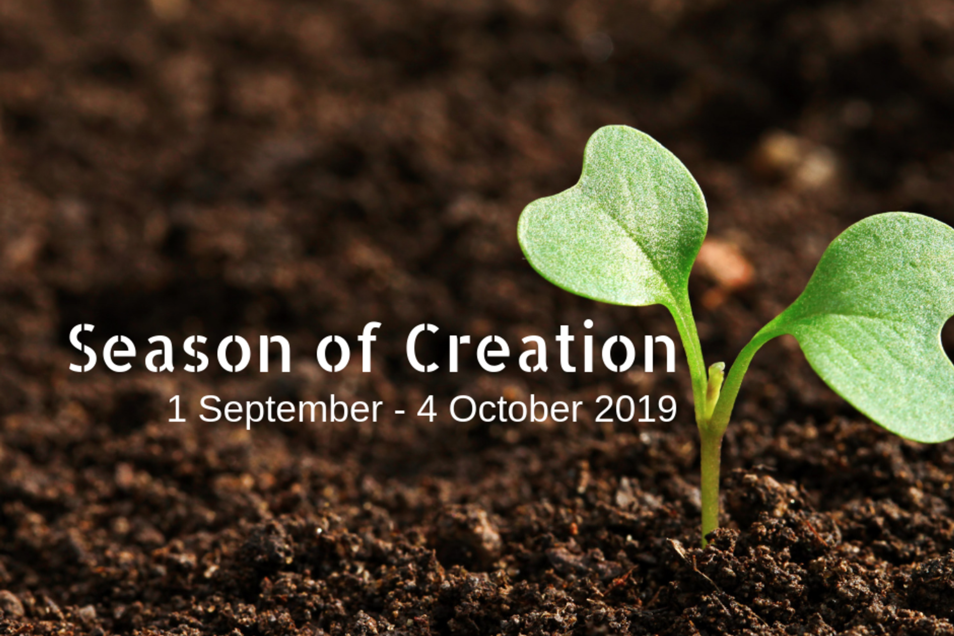 Season of Creation 2019
