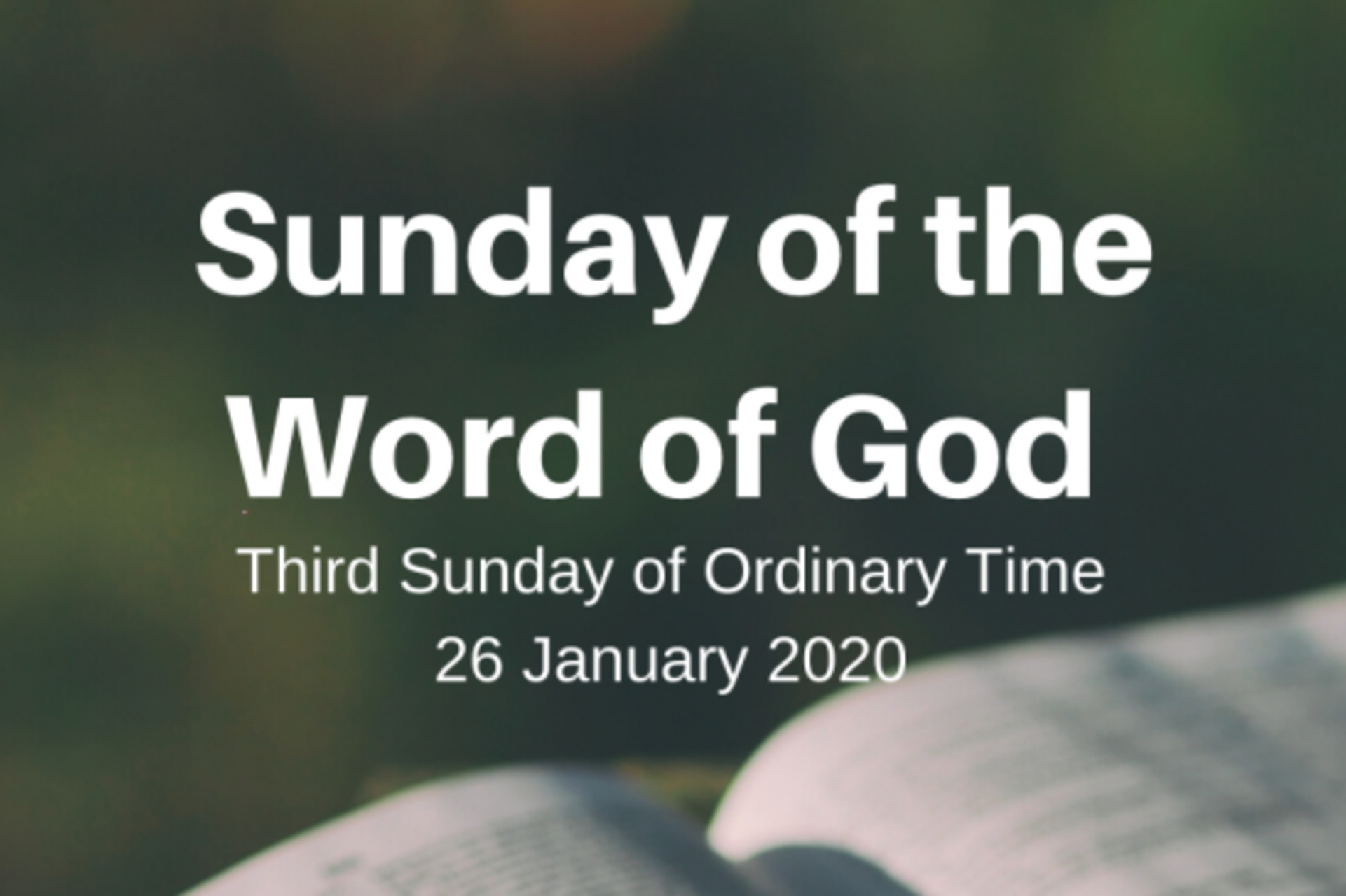 Resources for 'Sunday of the Word of God'